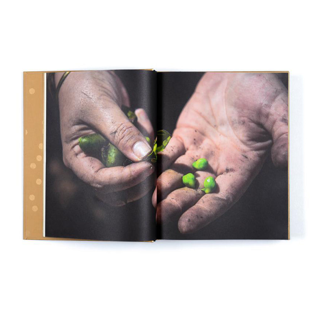 The Hummus Book – Asufa com